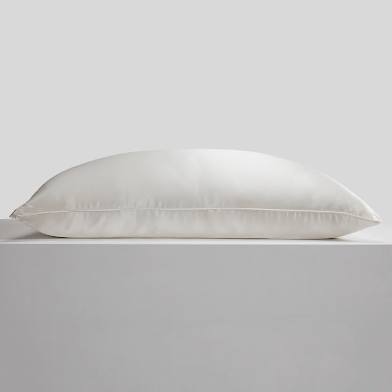 WEIWO Silkworm Silk Soft Four-Season Adult Pillow