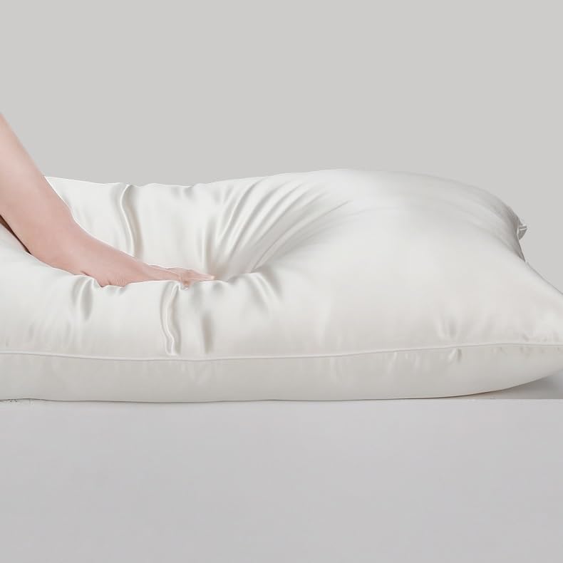 WEIWO Silkworm Silk Soft Four-Season Adult Pillow