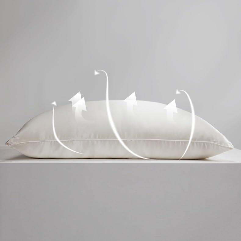 WEIWO Silkworm Silk Soft Four-Season Adult Pillow