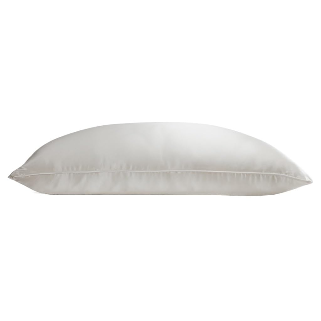 WEIWO Silkworm Silk Soft Four-Season Adult Pillow