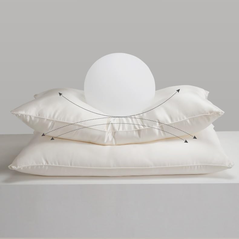 WEIWO Silkworm Silk Soft Four-Season Adult Pillow