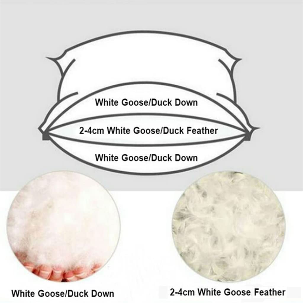 White Goose Feather Down Cotton Bed Pillow 48x74cm