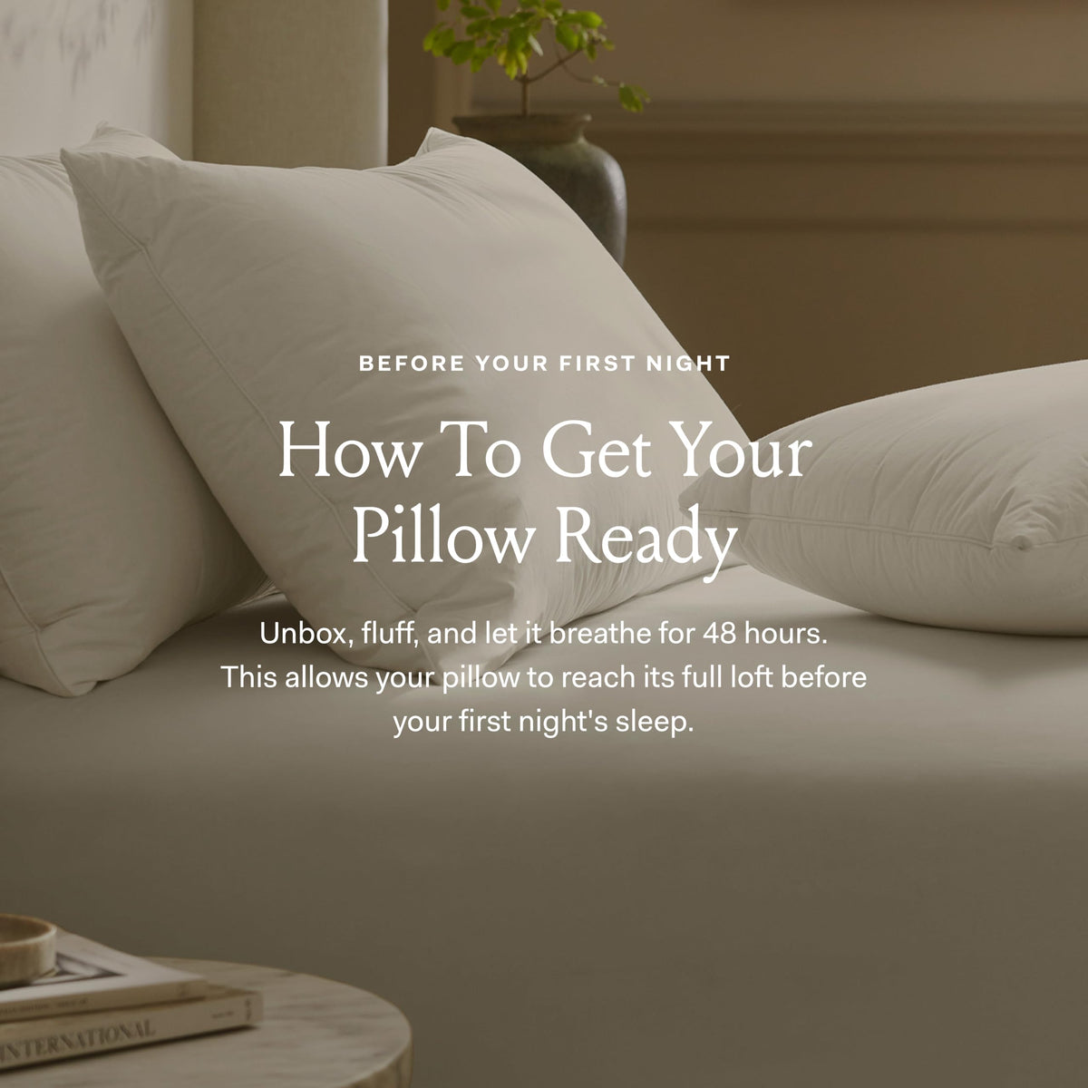 Boll & Branch Down Chamber Bed Pillow for Luxury Sleep